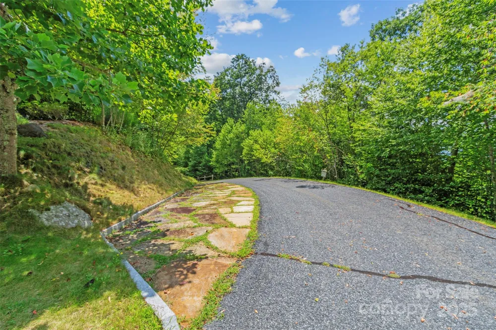 Lot 9 Wormy Chestnut Road Burnsville, NC 28714