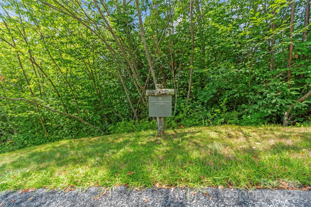 Lot 9 Wormy Chestnut Road Burnsville, NC 28714