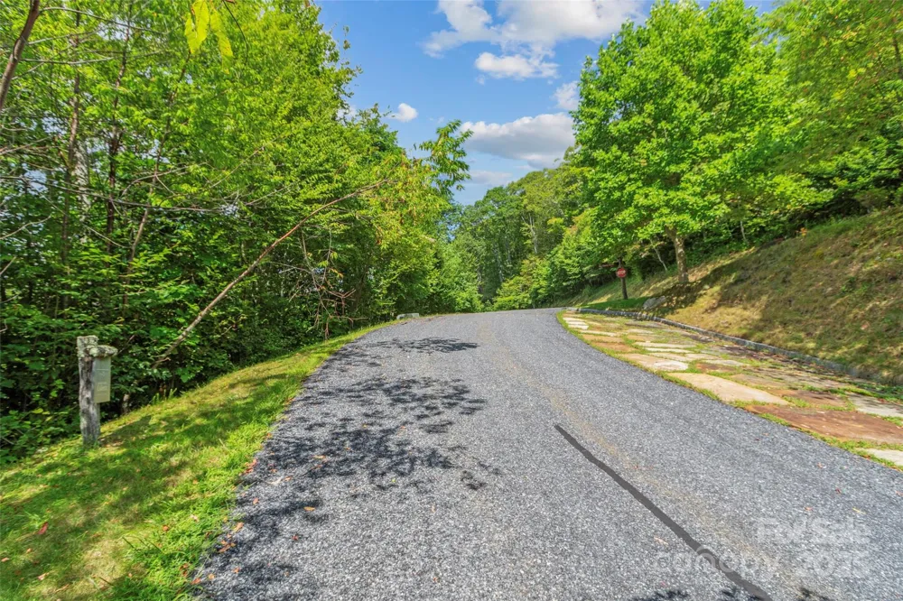 Lot 9 Wormy Chestnut Road Burnsville, NC 28714