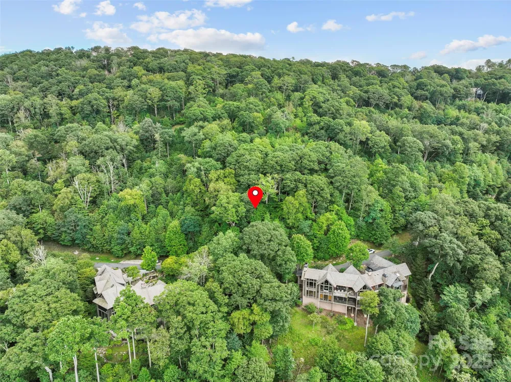 Lot 9 Wormy Chestnut Road Burnsville, NC 28714