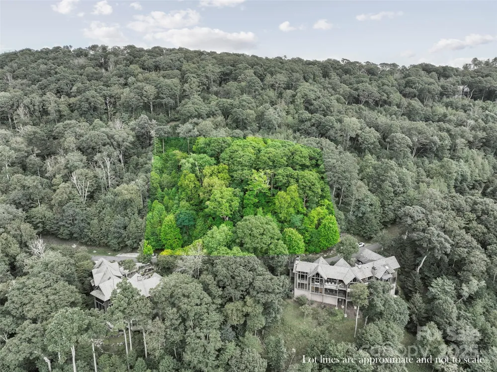 Lot 9 Wormy Chestnut Road Burnsville, NC 28714