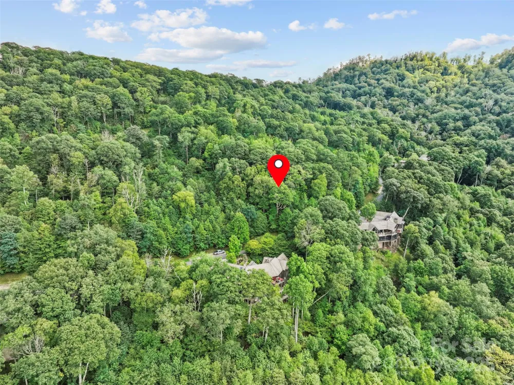 Lot 9 Wormy Chestnut Road Burnsville, NC 28714