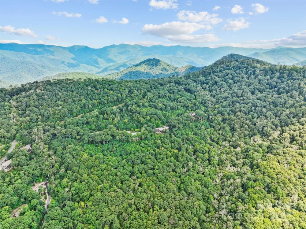 Lot 9 Wormy Chestnut Road Burnsville, NC 28714