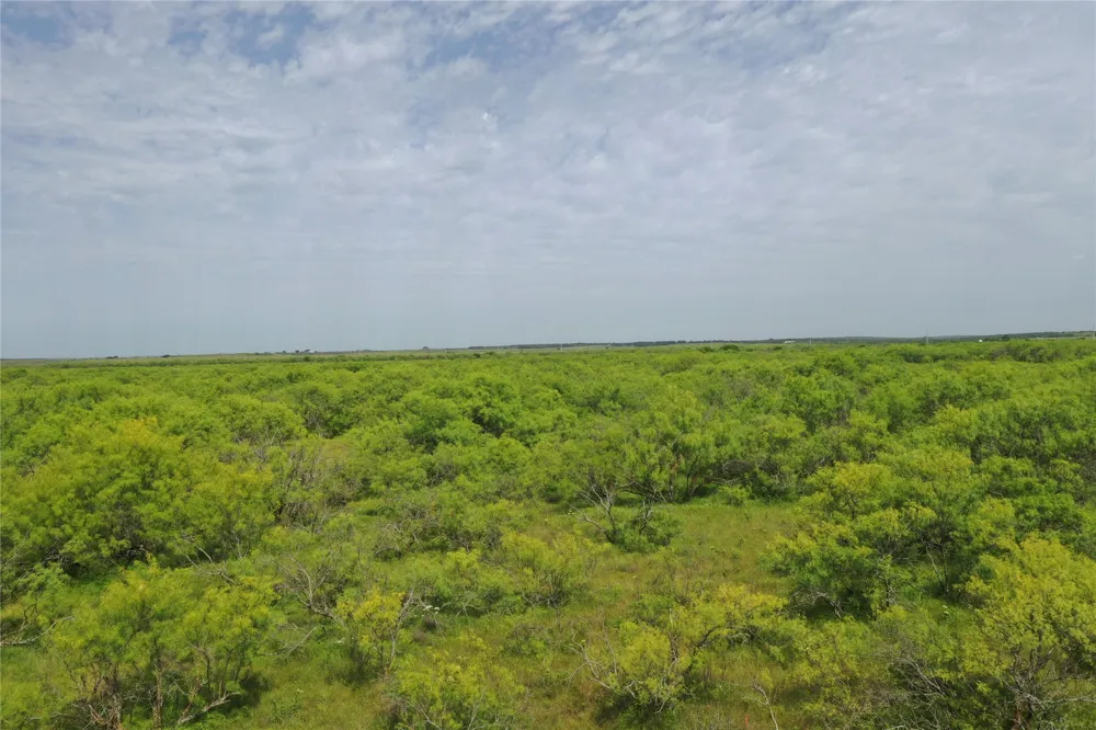 FM 2321-TRACT 1 Bellevue, TX 76228