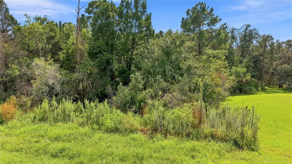 4366 SUNCOAST BOULEVARD Crystal River, FL 34428