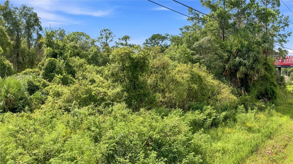4366 SUNCOAST BOULEVARD Crystal River, FL 34428