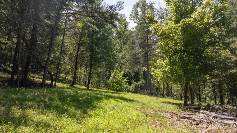 22 Fern Gully Marshall, NC 28753