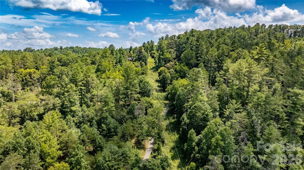 22 Fern Gully Marshall, NC 28753