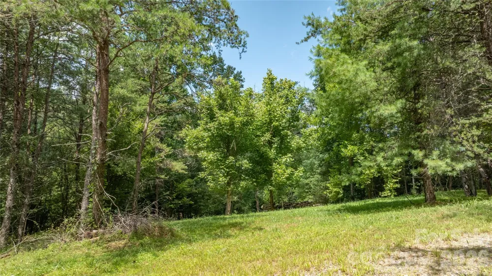 22 Fern Gully Marshall, NC 28753