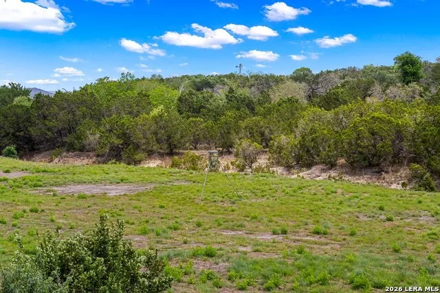 161 Balsly Rd Center Point, TX 78010
