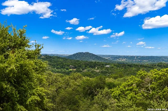 161 Balsly Rd Center Point, TX 78010
