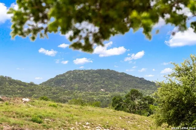 161 Balsly Rd Center Point, TX 78010