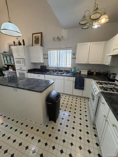 29211 Sunridge Farmington Hills City, MI 48334