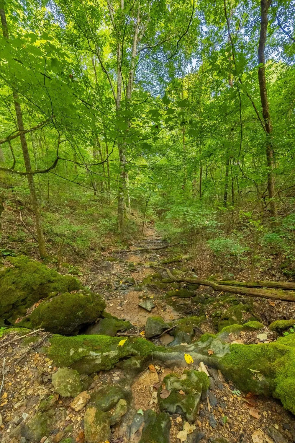 259 County Road 60 Athens, TN 37303