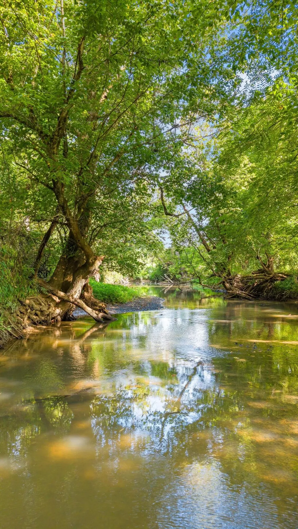 259 County Road 60 Athens, TN 37303