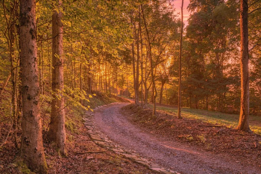 259 County Road 60 Athens, TN 37303