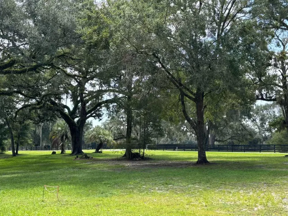 12125 NW 100TH STREET ocala, FL 34482