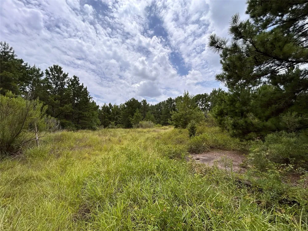 State Highway 242 Conroe, TX 77385