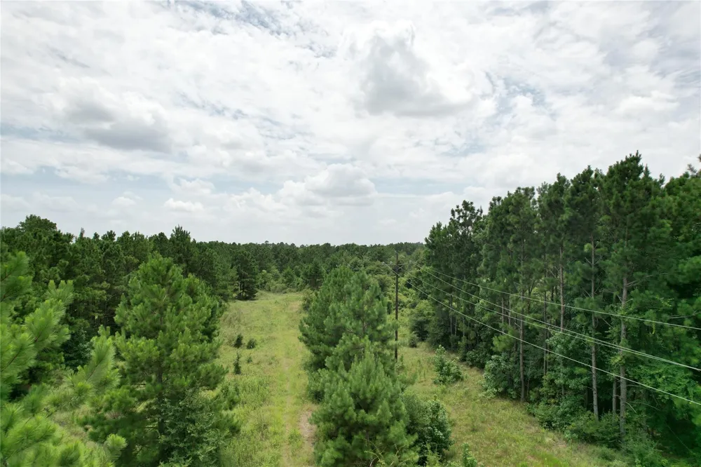 State Highway 242 Conroe, TX 77385