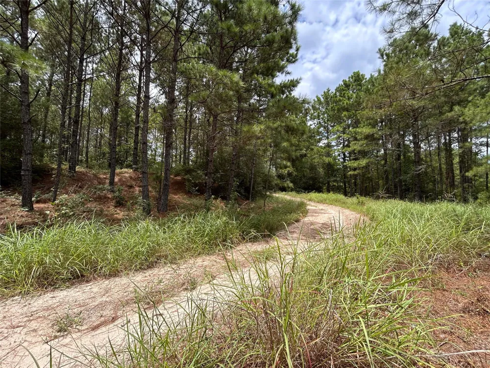 State Highway 242 Conroe, TX 77385