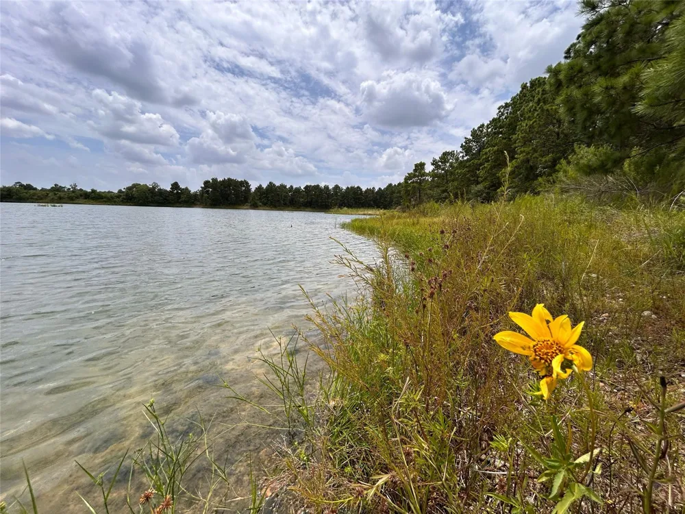 State Highway 242 Conroe, TX 77385