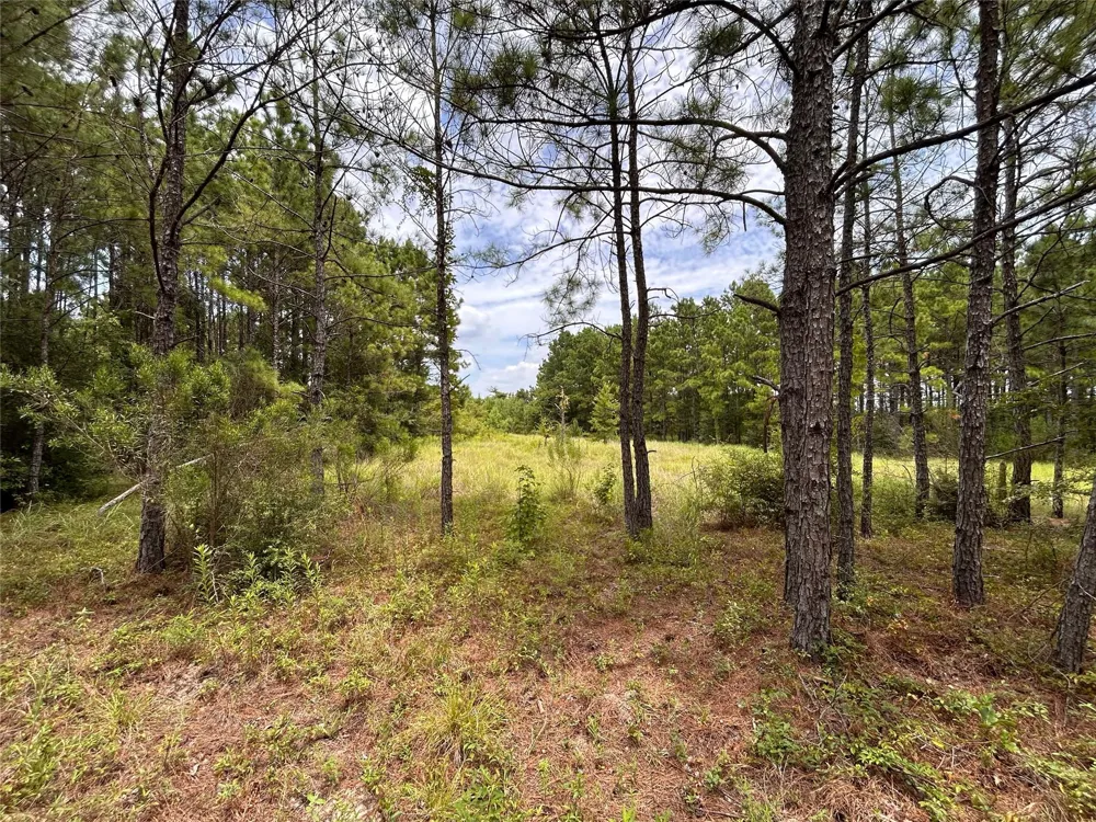 State Highway 242 Conroe, TX 77385