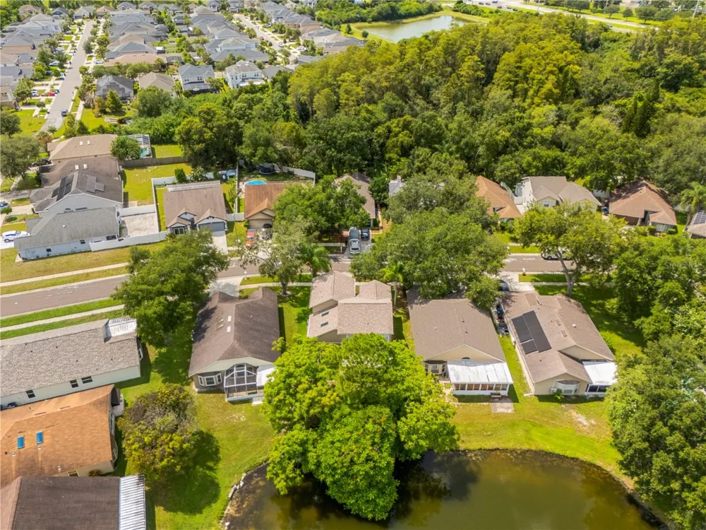 9808 LONG MEADOW DRIVE Tampa, FL 33615