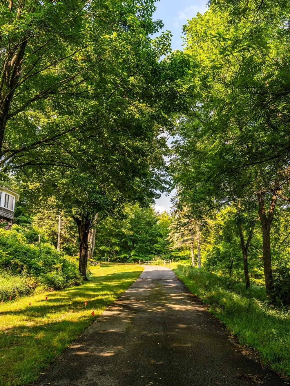 6020 E Hackett Drive Solon Township, MI 49621