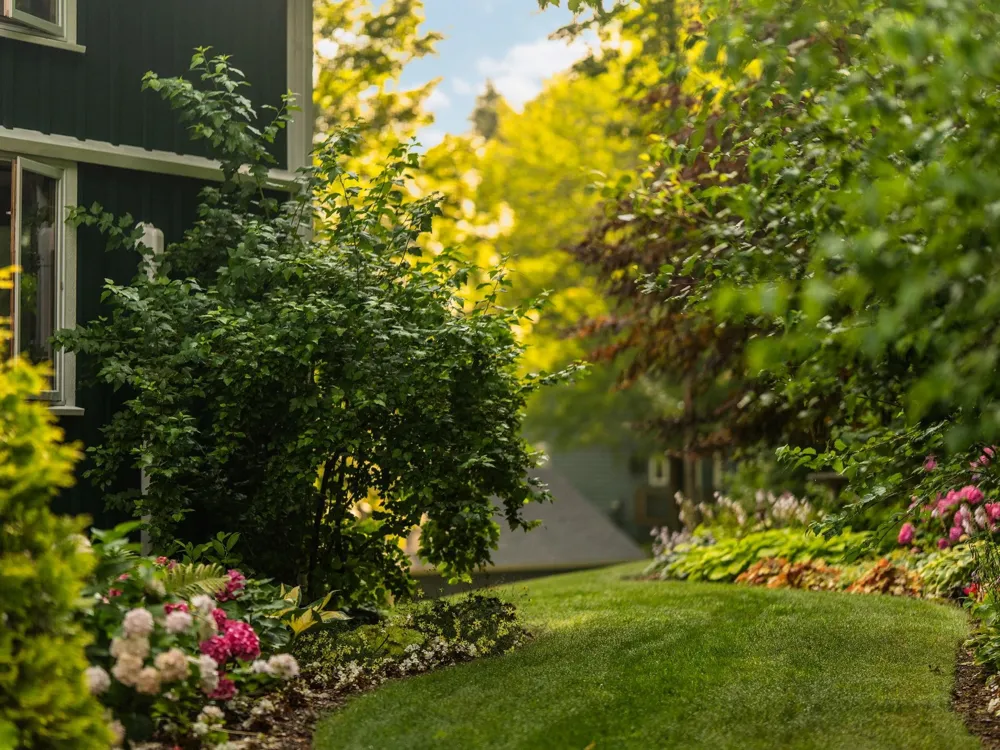 6020 E Hackett Drive Solon Township, MI 49621