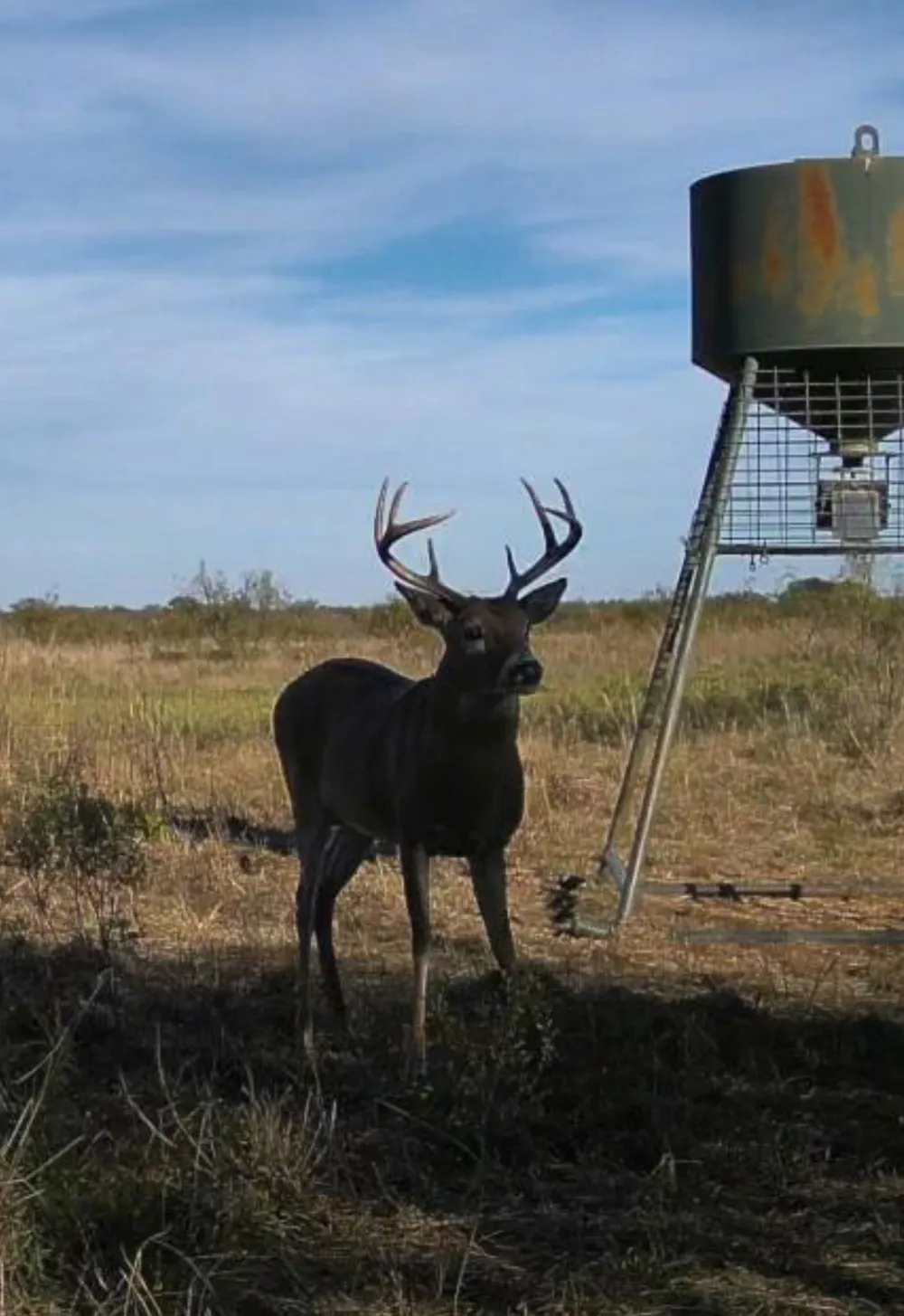 FM 2321 TRACT 2 Bellevue, TX 76228