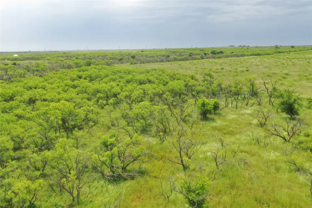 FM 2321 TRACT 2 Bellevue, TX 76228