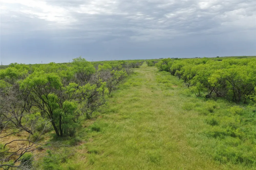 FM 2321 TRACT 2 Bellevue, TX 76228