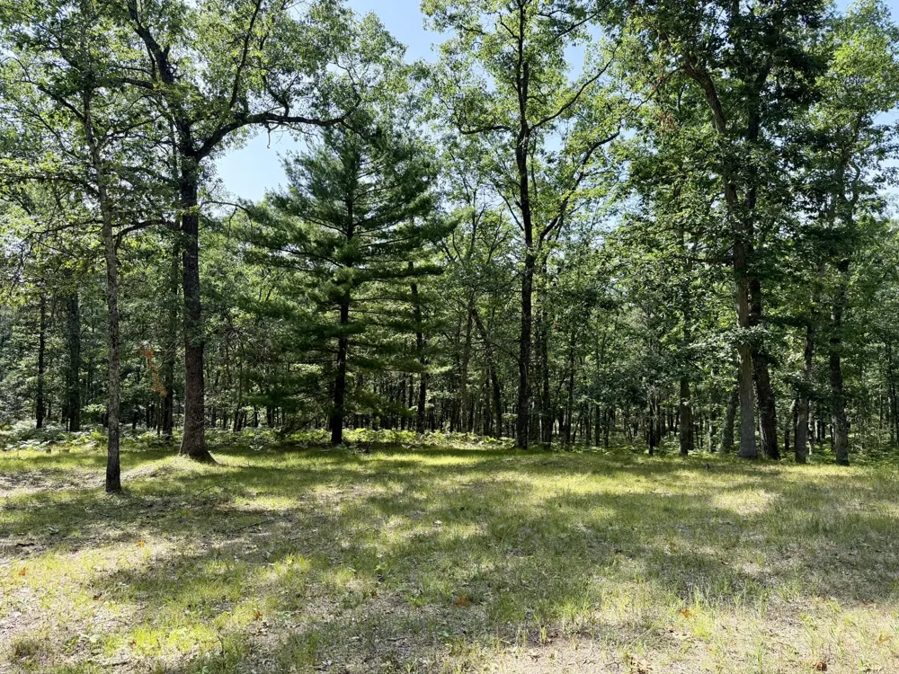 10619 River Dr Ranch Irons, MI 49644