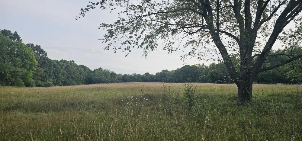 473 Block Road Coldwater, MI 49036