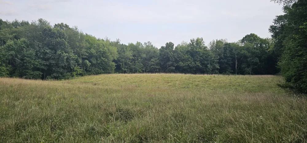 473 Block Road Coldwater, MI 49036