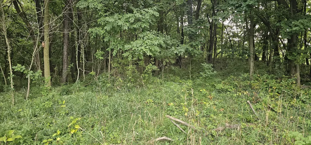 473 Block Road Coldwater, MI 49036