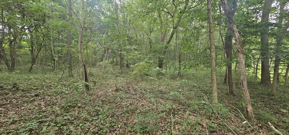 473 Block Road Coldwater, MI 49036