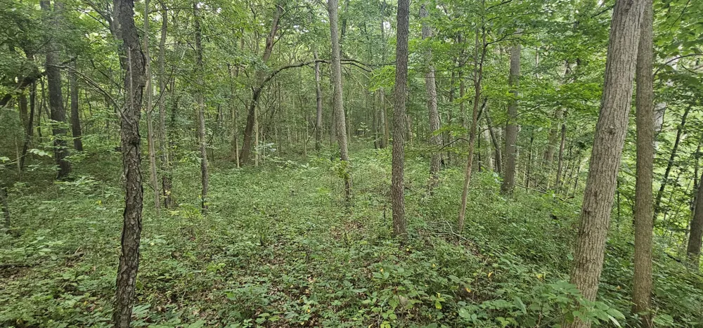 473 Block Road Coldwater, MI 49036