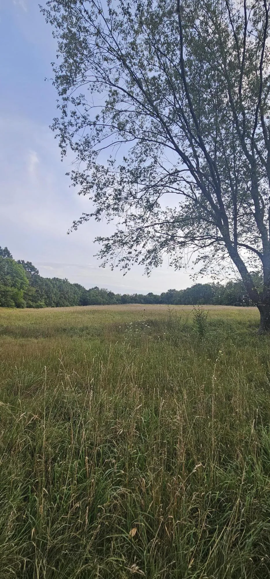 473 Block Road Coldwater, MI 49036