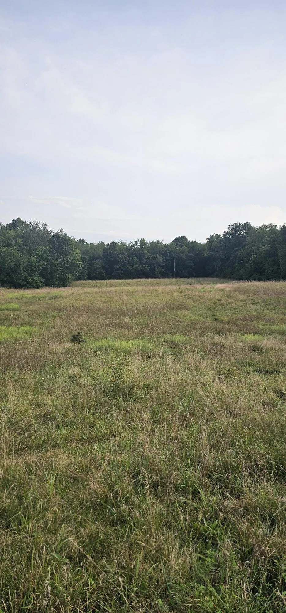 473 Block Road Coldwater, MI 49036