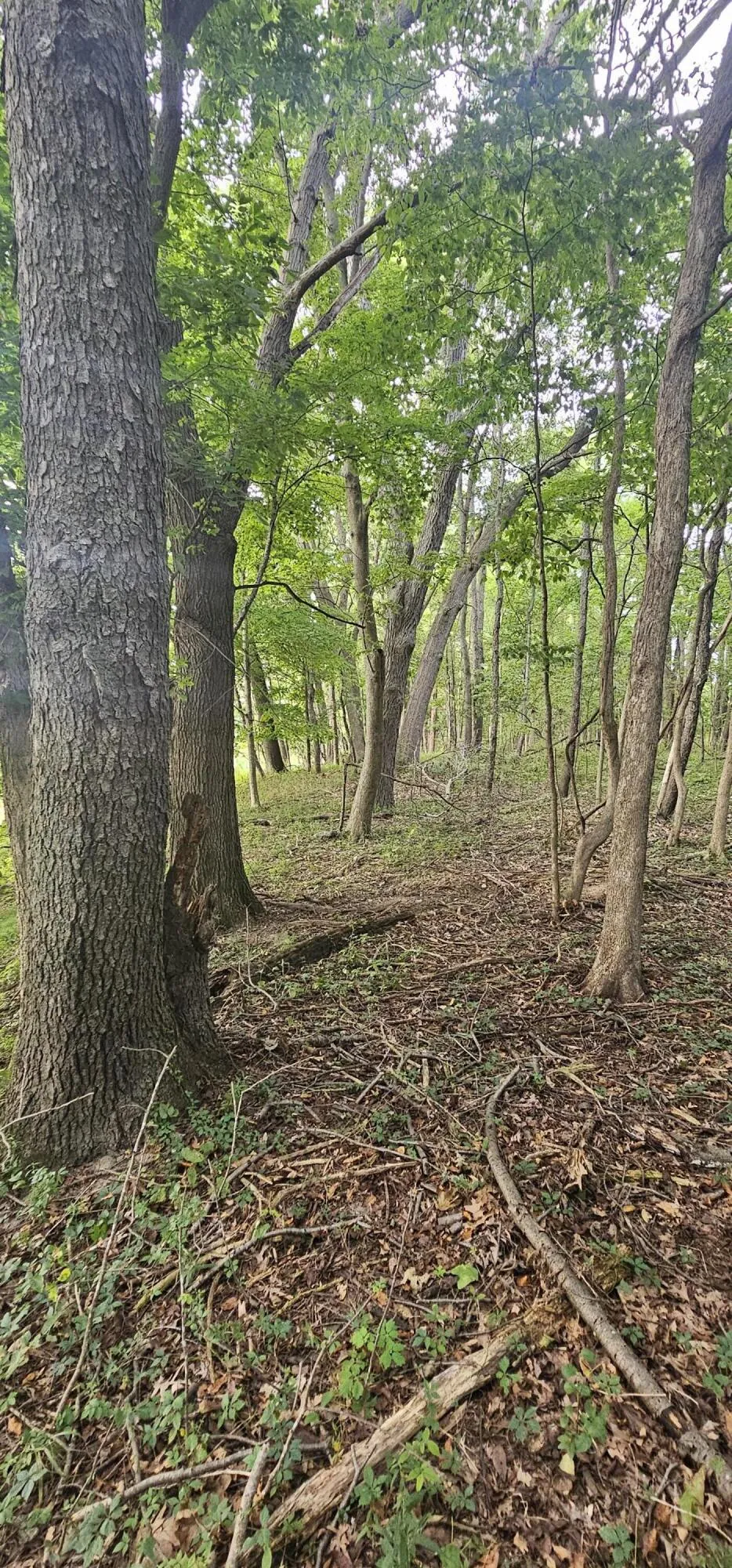 473 Block Road Coldwater, MI 49036