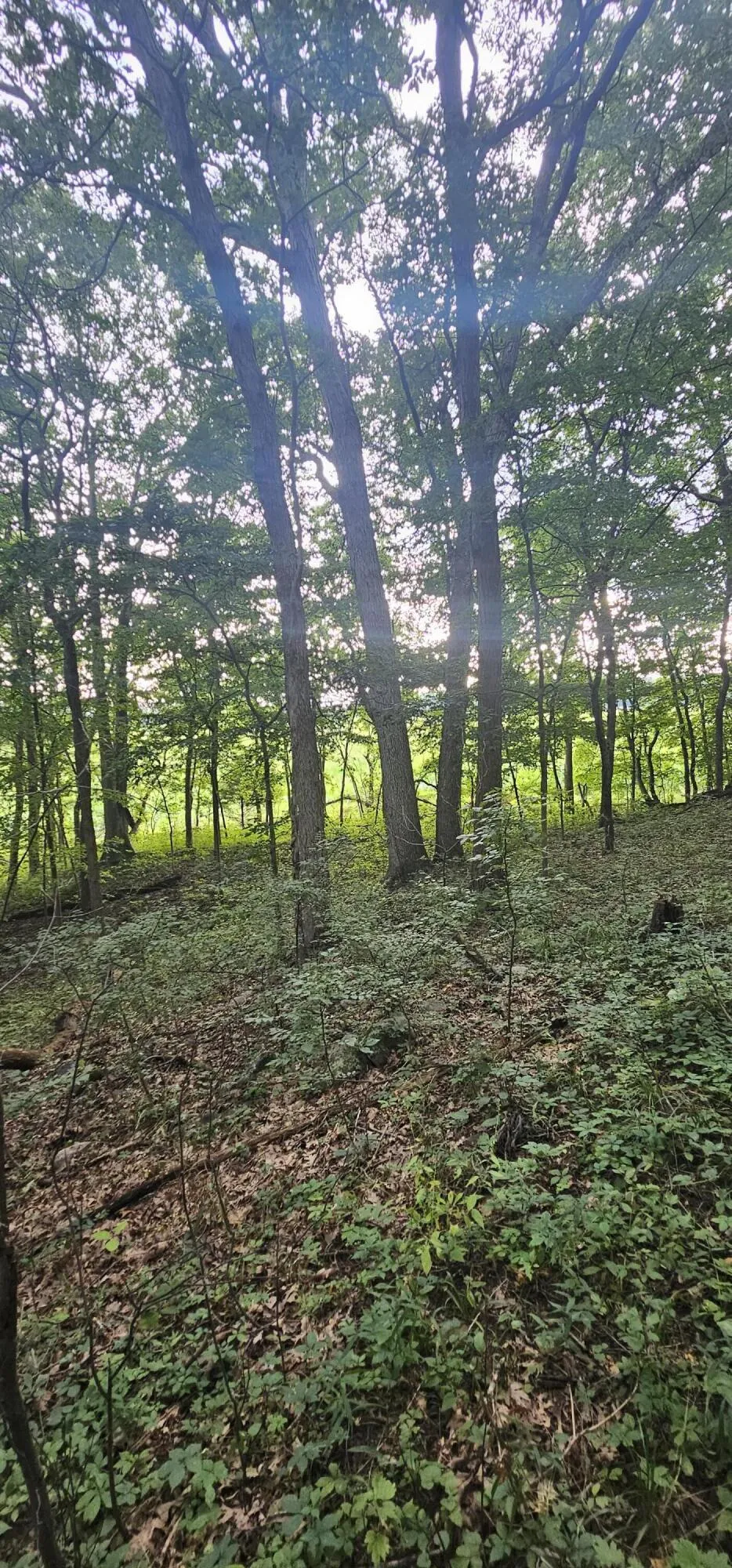 473 Block Road Coldwater, MI 49036