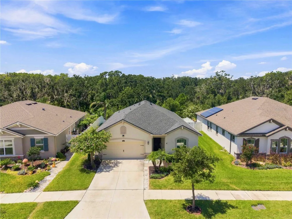 12943 SATIN LILY DRIVE Riverview, FL 33579