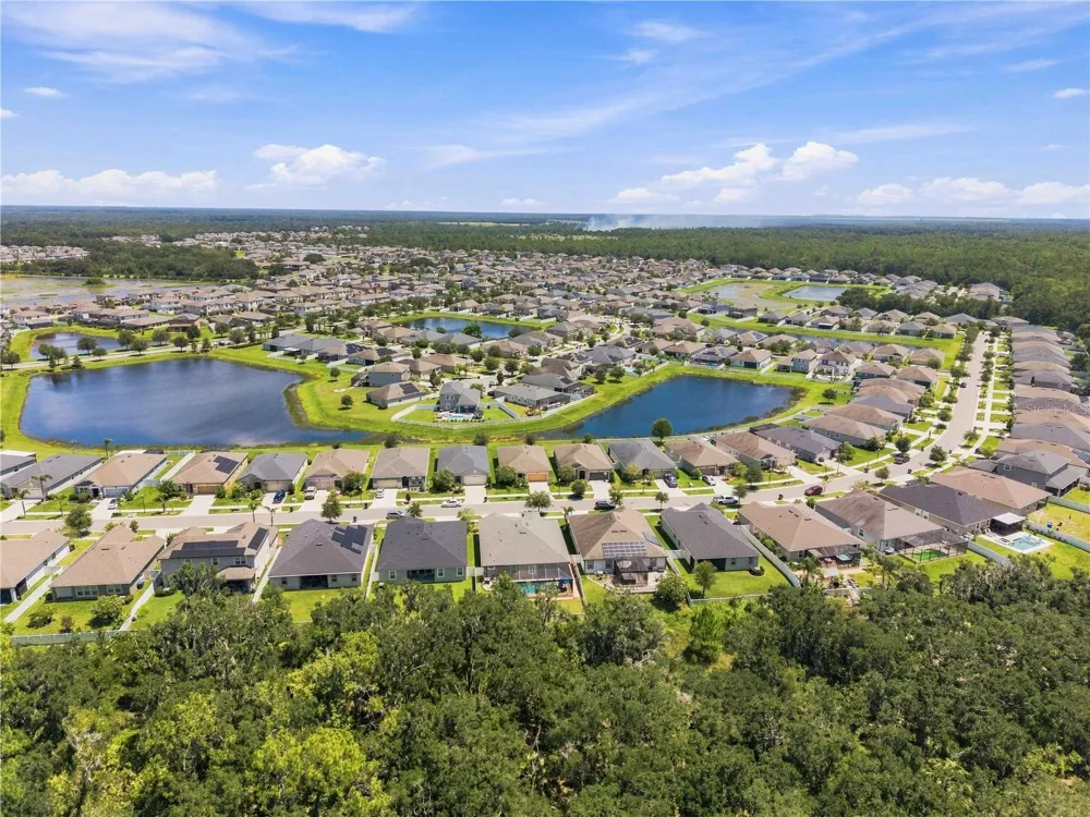 12943 SATIN LILY DRIVE Riverview, FL 33579