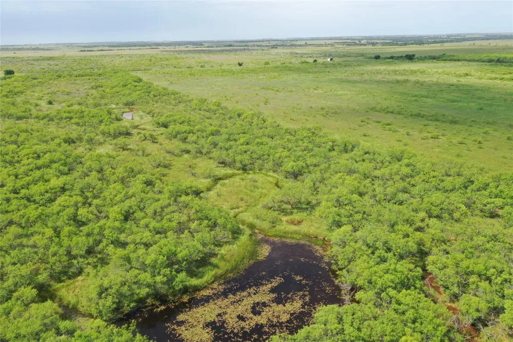 Davis Ln-TRACT 8 Bellevue, TX 76228