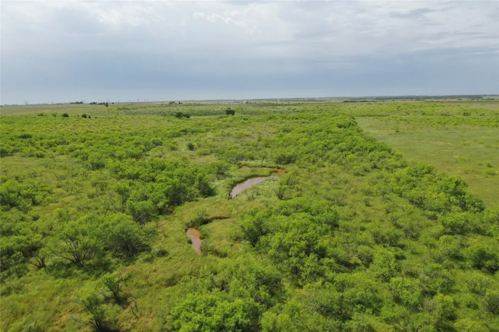 Davis Ln-TRACT 8 Bellevue, TX 76228