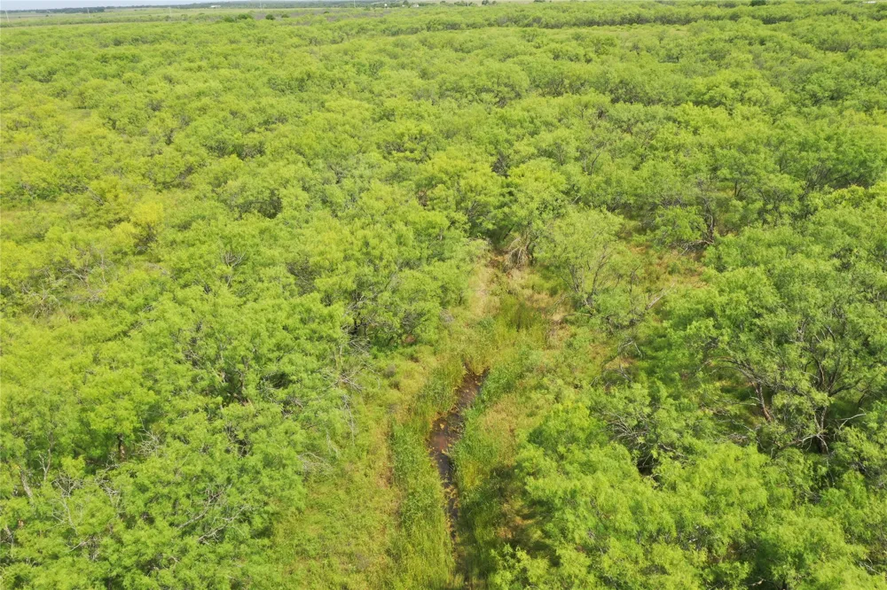 Davis Ln-TRACT 8 Bellevue, TX 76228