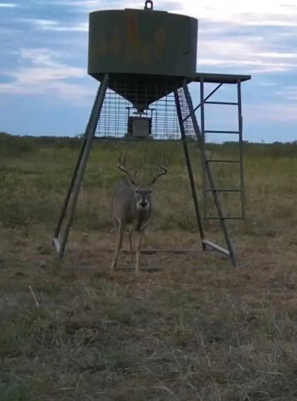 Davis Ln-TRACT 8 Bellevue, TX 76228