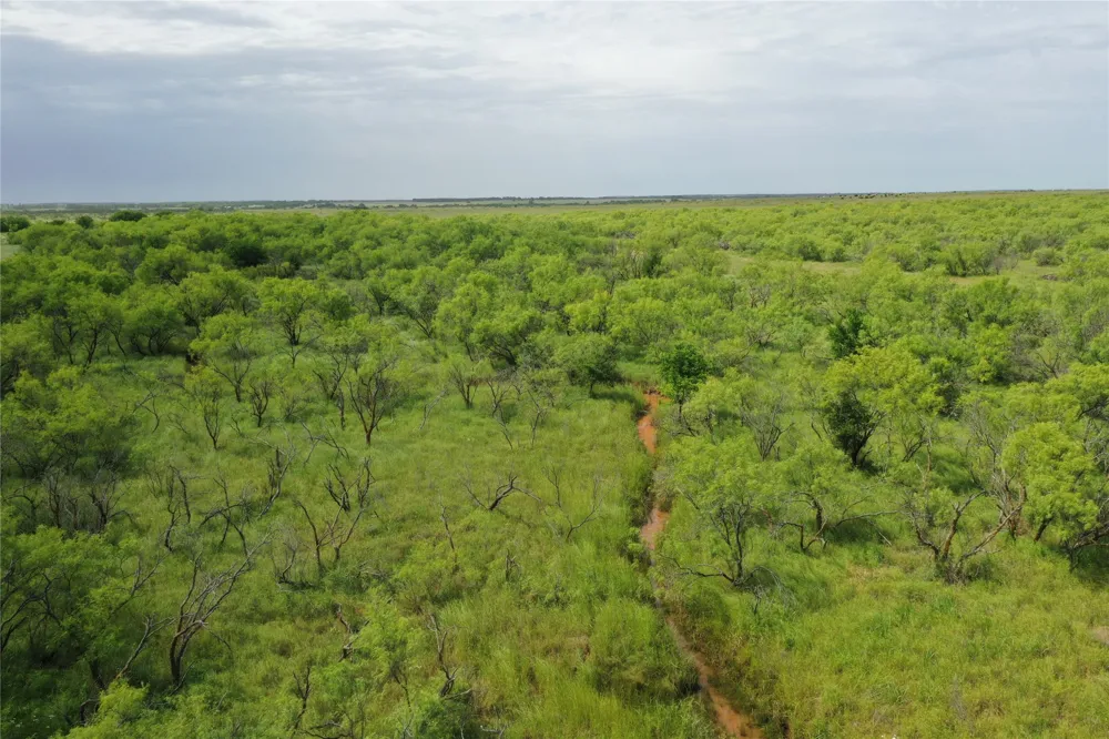 Davis Ln-TRACT 9 Bellevue, TX 76228