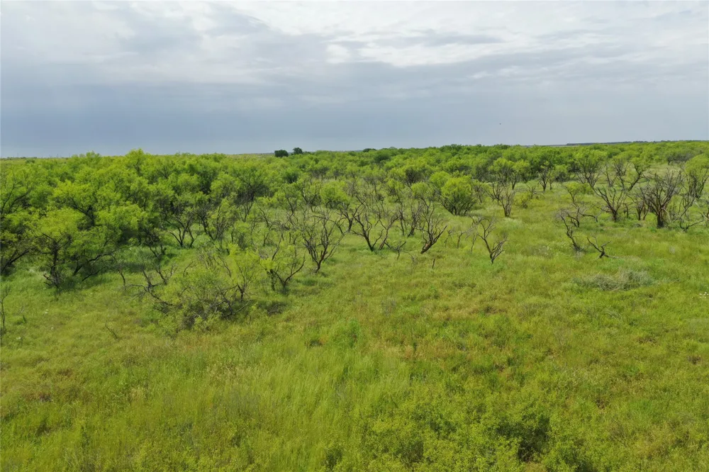 Davis Ln-TRACT 9 Bellevue, TX 76228